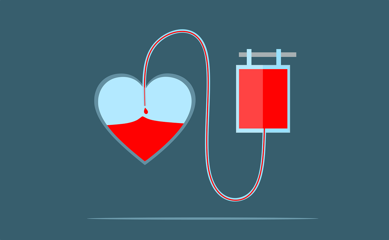heart, donation, bag, donate, save, concept, healthcare, medical, design, health, donor, medicine, drop, hospital, sign, care, clinic, help, laboratory