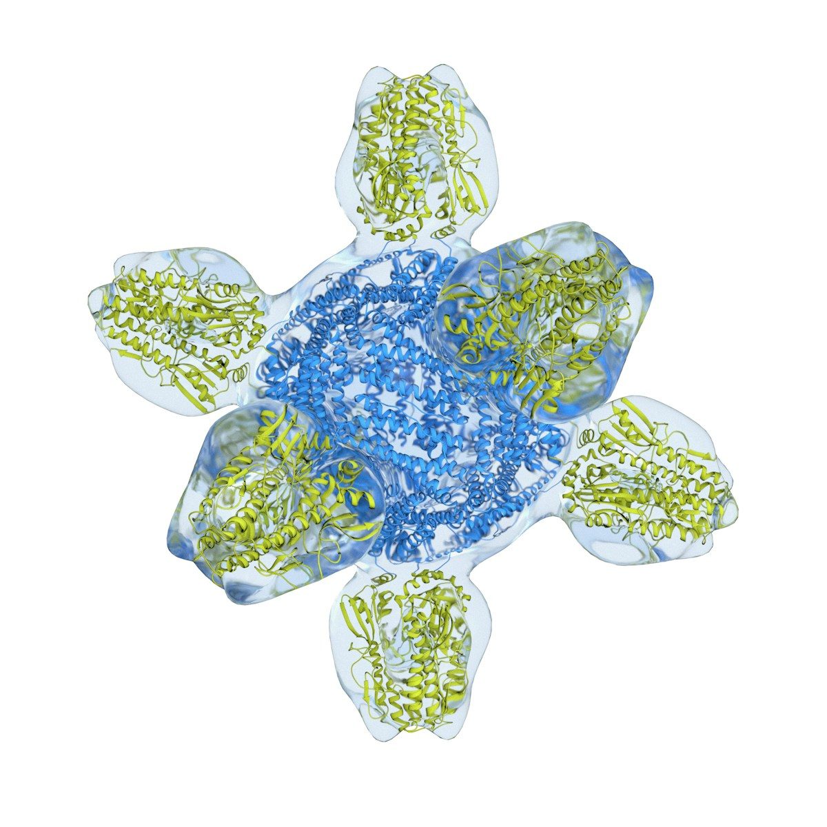 a drawing of a blue and green sea turtle