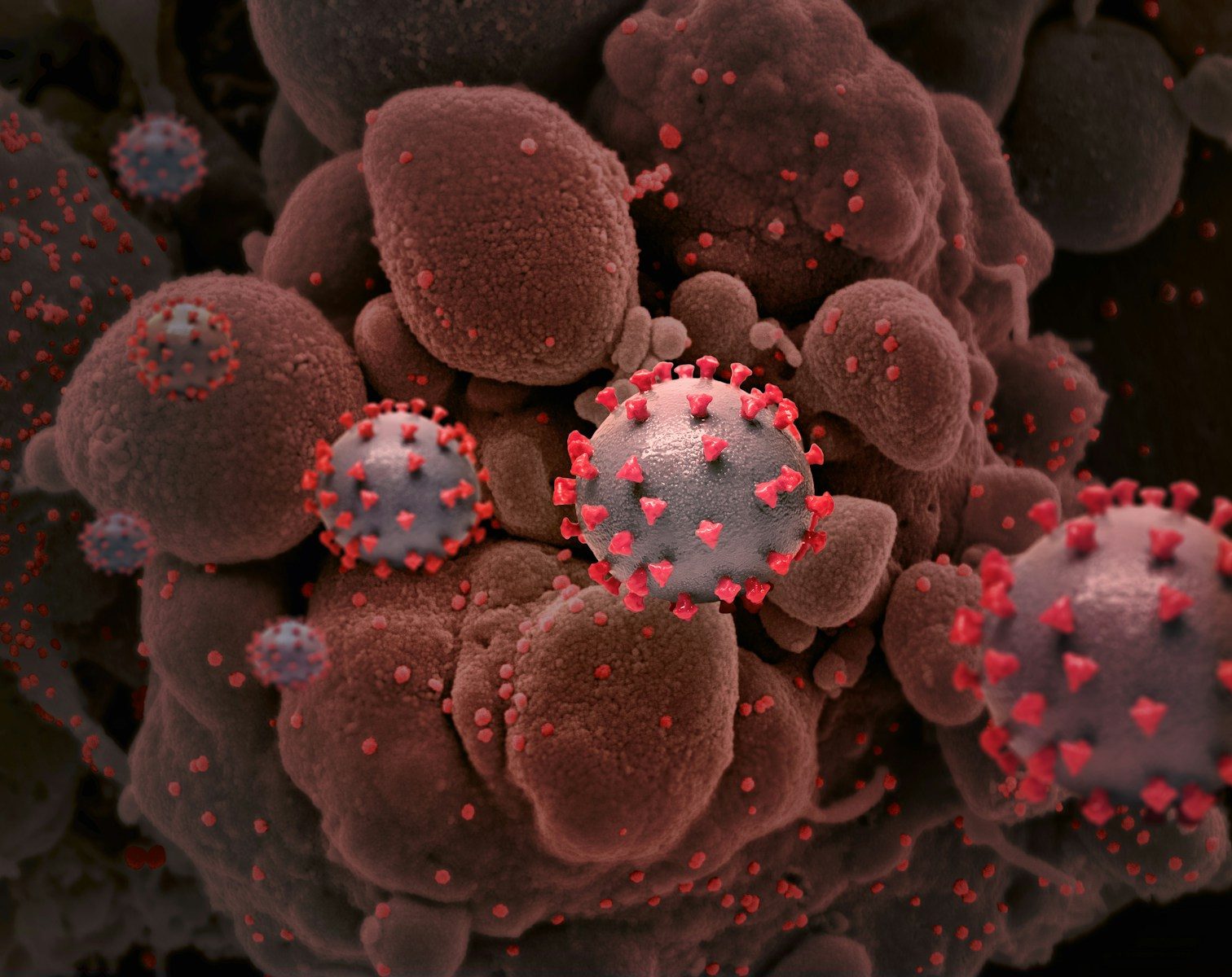 a close up of a red and white substance