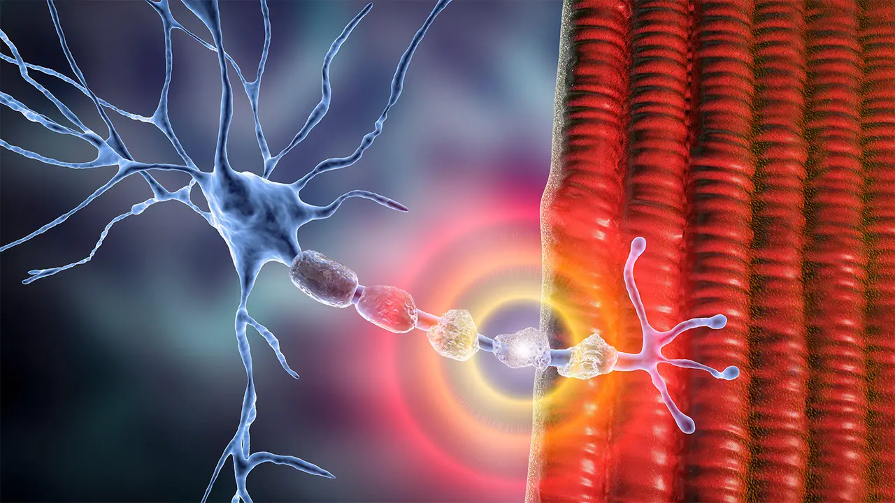 Vyvgart Hytrulo Challenges the Step Therapy Model in Treatment-Naive CIDP