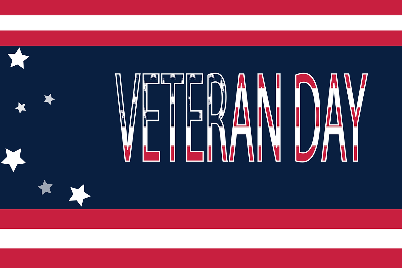 veteran, veterans day, honor, celebration, hero, warrior, independence, america, veterans day, veterans day, veterans day, veterans day, veterans day